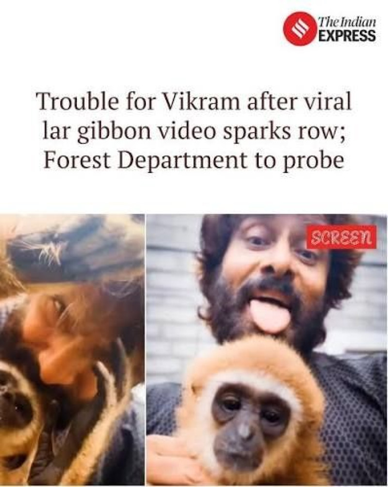 Lar gibbon in Indian actor Chiyaan Vikram's viral video came from Malaysia