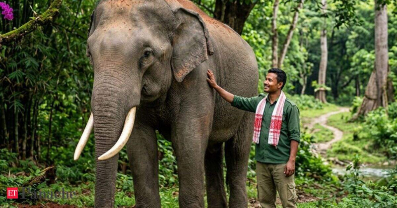 'Bananas and patience': At 16, he rescued a lost baby elephant. Now, this Assam man shares an unbreakable bond with the animal at Kaziranga National Park