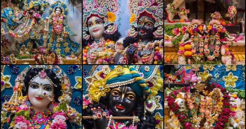 Krishna Janmashtami celebrations peak in Mathura amid rain and devotional fervour