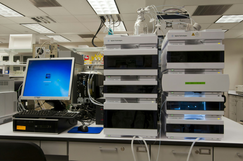 Scientists Discover New Cause of Aging Muscle Weakness