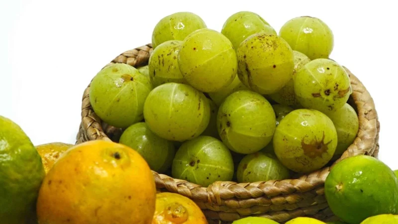 “Our Ancestors Knew Its Value”: PM Modi Promotes Amla as Immunity-Boosting Superfood